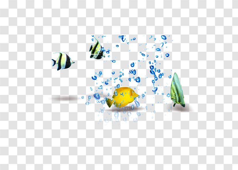 Fish - Gratis - In The Water Transparent PNG