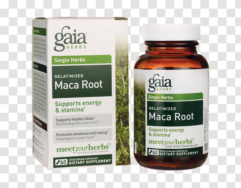 Dietary Supplement Maca Herb Vegetarian Cuisine Vegetable - Superfood - Root Transparent PNG