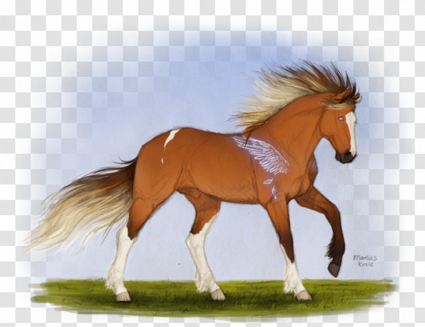 Mustang Stallion Foal Mare Colt - Mammal Transparent PNG