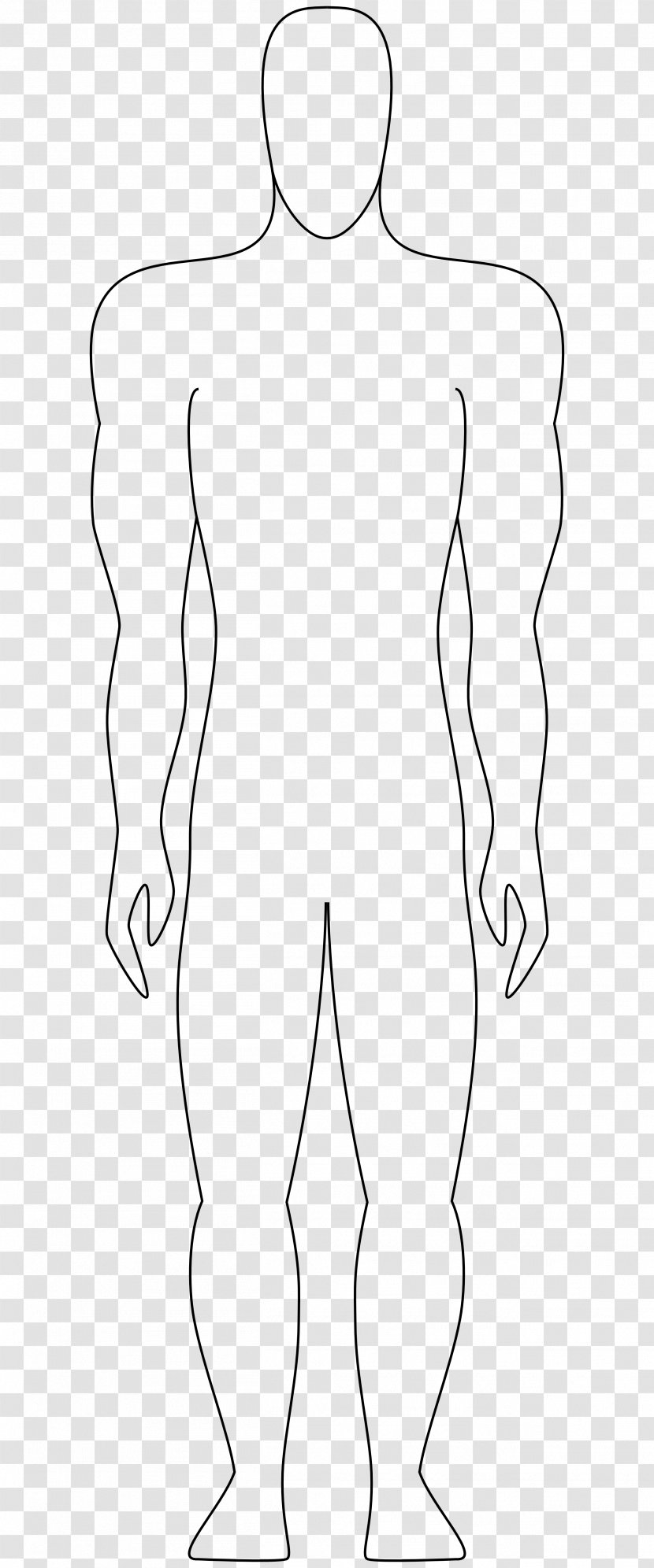 Drawing Human Body Homo Sapiens Sketch - Frame - Cartoon Transparent PNG