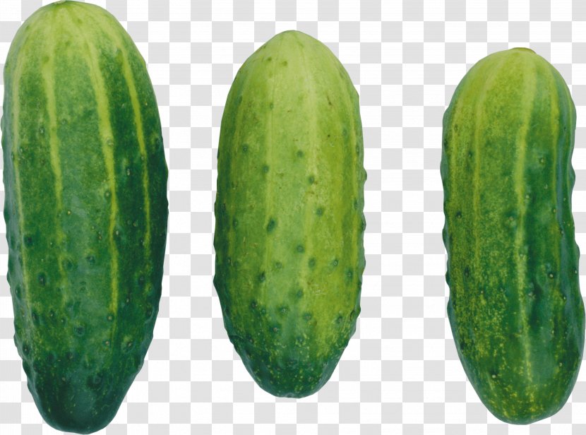 Cucumber Icon - Gourd Order - Cucumbers Image Transparent PNG