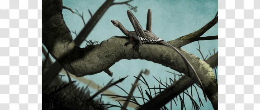 Spider Sharovipteryx Dinosaur Evolution Pterosaurs - Organism Transparent PNG