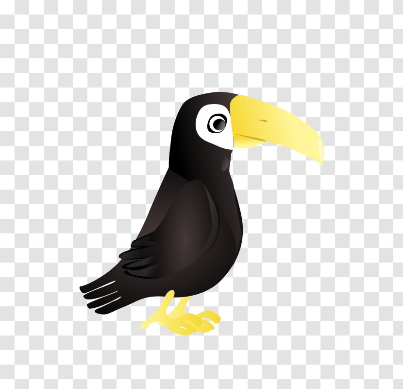 Parrot Toucan Clip Art - Piciformes Transparent PNG