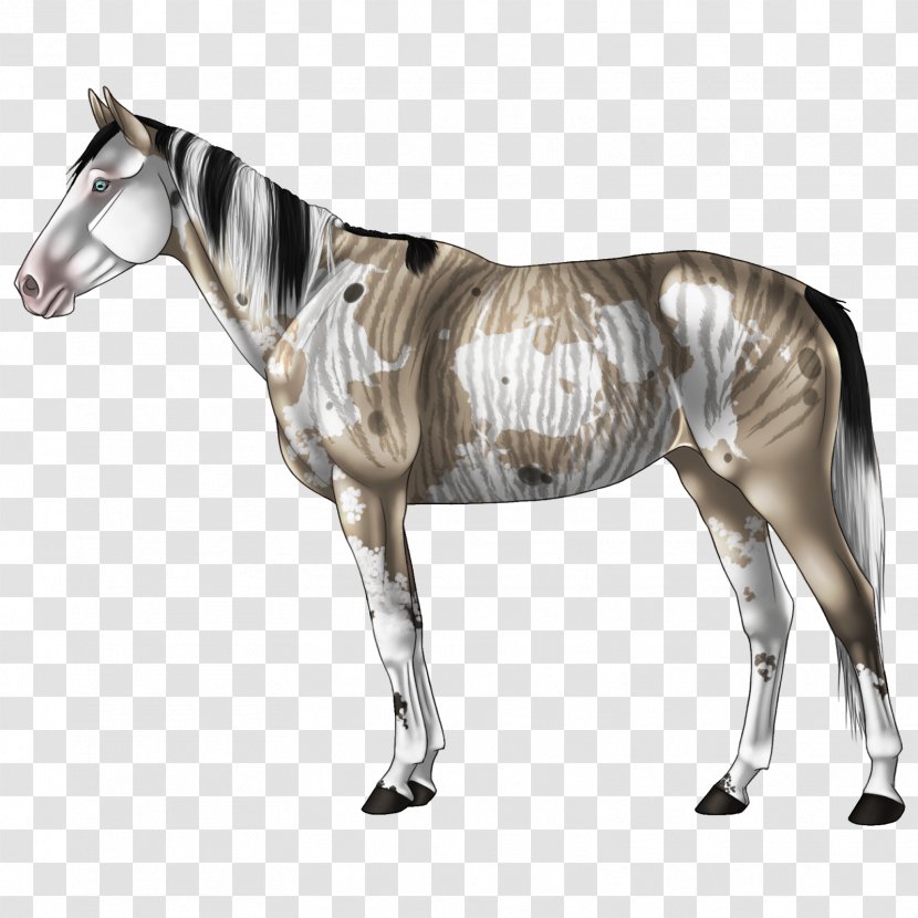Mane Mustang Halter Stallion Mare - Horse Transparent PNG