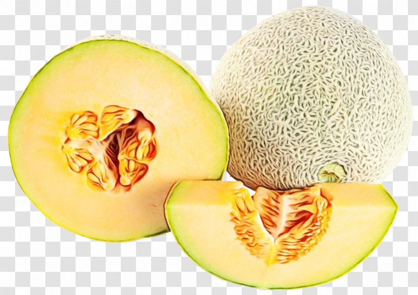 Watermelon Cartoon - Canary Melon - Superfood Plant Transparent PNG