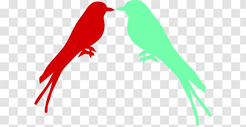 Macaw Parrot Beak Clip Art - Bird Transparent PNG