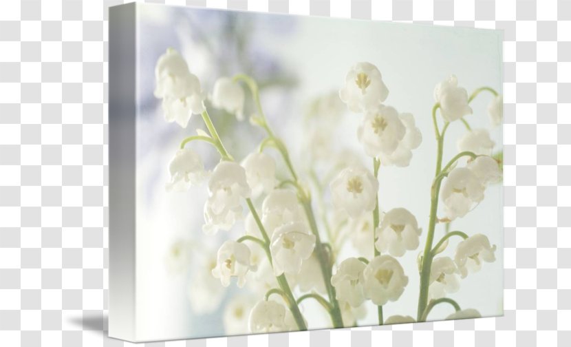 Flower Floral Design Photography Wedding Lilium - Nosegay - Lily Of The Valley Transparent PNG