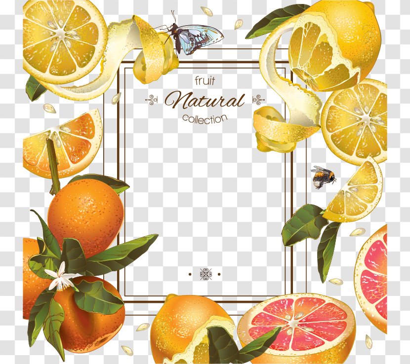 Juice Lemon Grapefruit Mandarin Orange - Citrus - Vector Background Retro Honey Transparent PNG