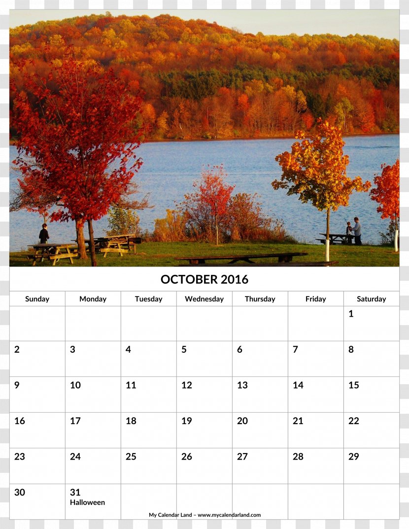 Landscape Philadelphia Autumn Leaf Color - Woods Calendar Transparent PNG
