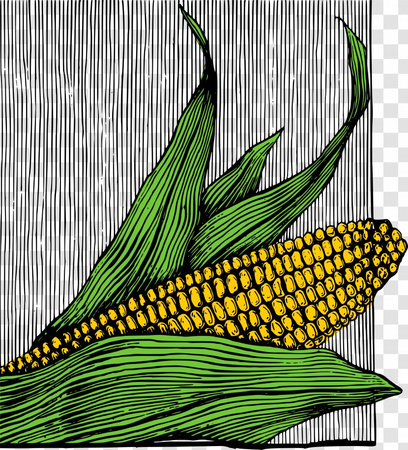 Corn On The Cob Popcorn Dog Flakes Maize - Grass Family Transparent PNG
