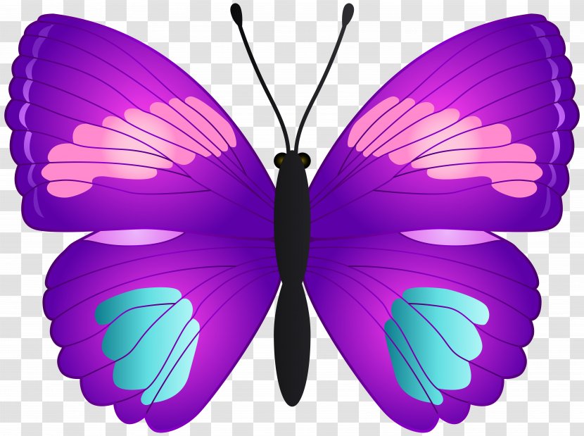 Butterfly Art Clip - Brush Footed - Red Transparent PNG
