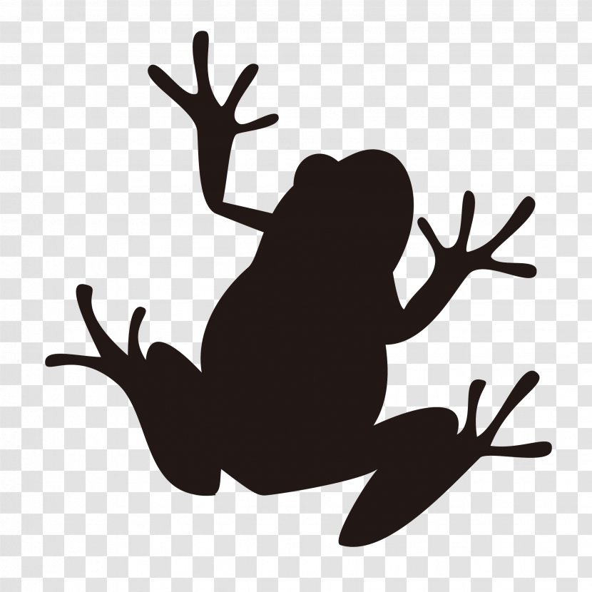 Frog Silhouette Illustration Image Amphibians - Organism Transparent PNG