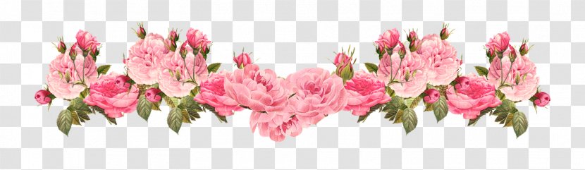 Pink Flowers Rose Clip Art - Plant Stem - Vintage Border Transparent PNG