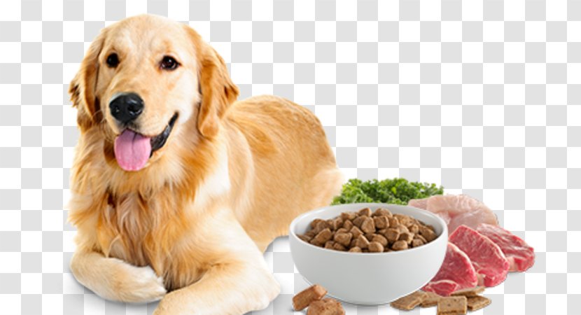 Dog Food Cat Pet - Veterinarian Transparent PNG