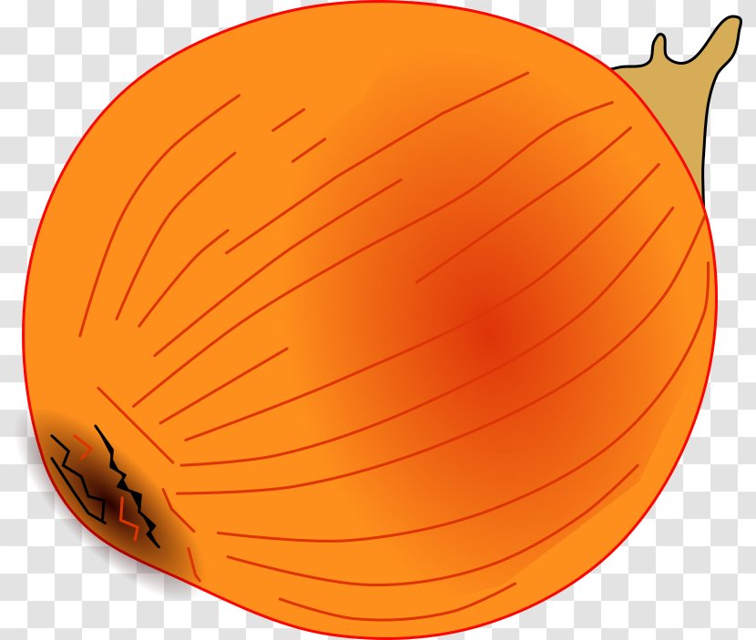 Calabaza Pumpkin Onion Vegetable - Spice - Cliparts Transparent PNG