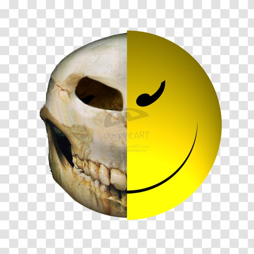 Smiley Skull Face Human Skeleton Jaw Transparent PNG