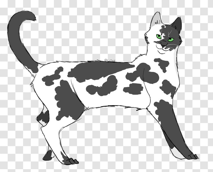 Whiskers Cat Dog Clip Art YouTube - Horse Like Mammal Transparent PNG