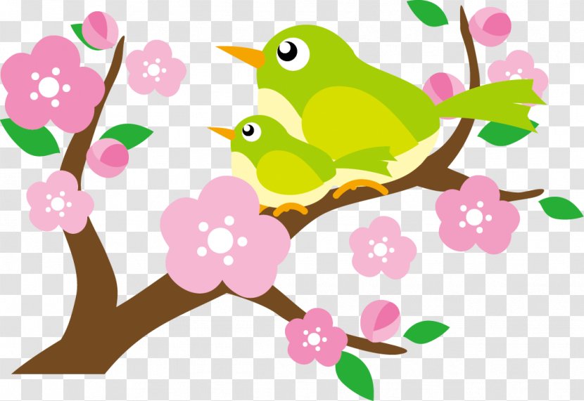 Illustration Of Beautiful Plum Blossoms And Bunny - Pink - Organism Transparent PNG