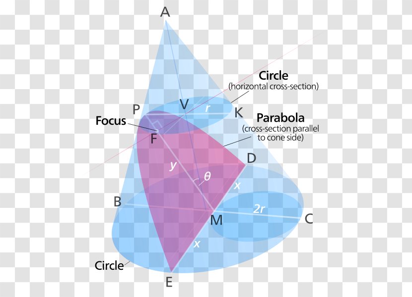 Parabola Conic Section Cone Hyperbola Point - Line Transparent PNG