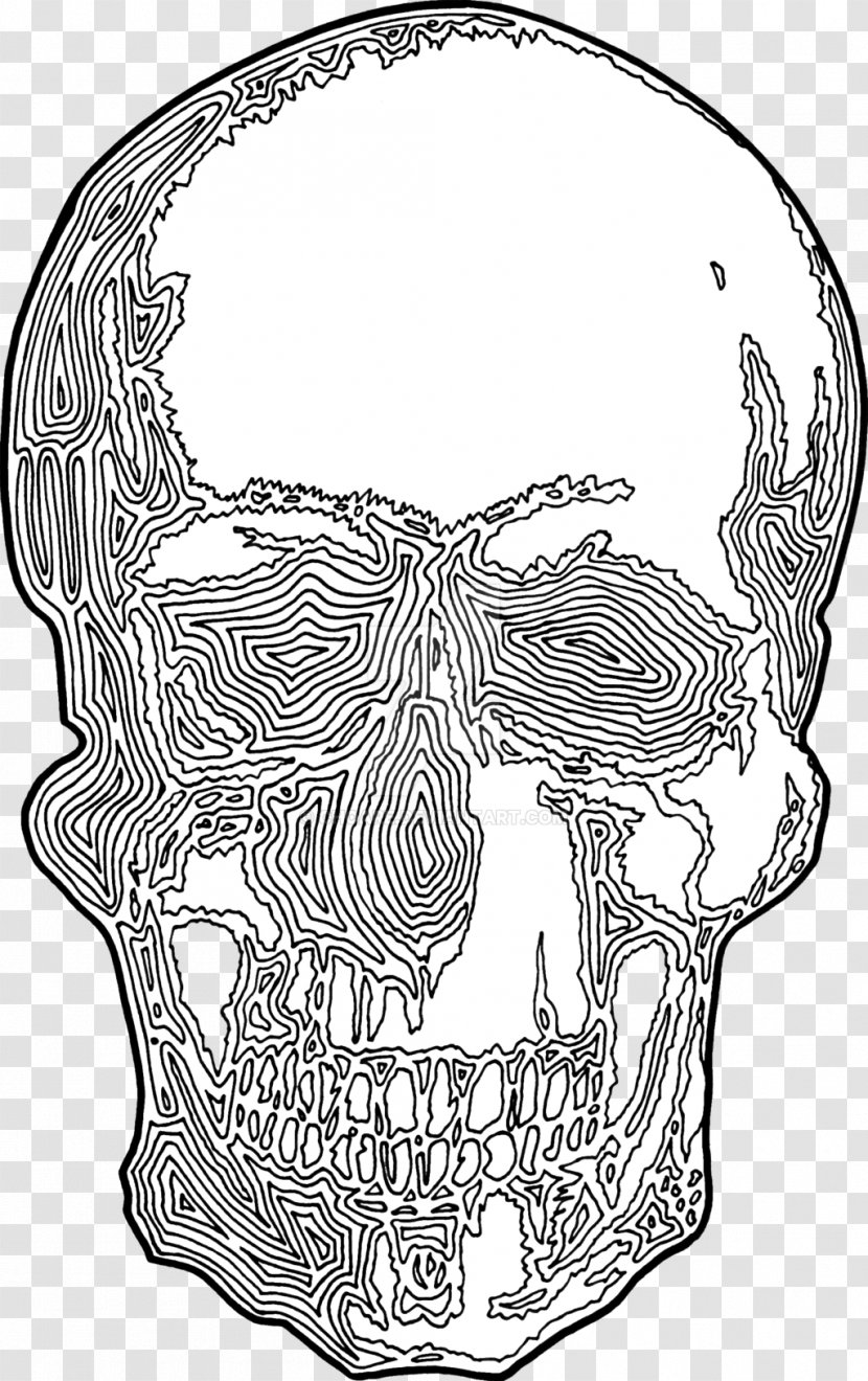 Line Art Drawing Jaw Headgear - Artwork - Skull Print Transparent PNG
