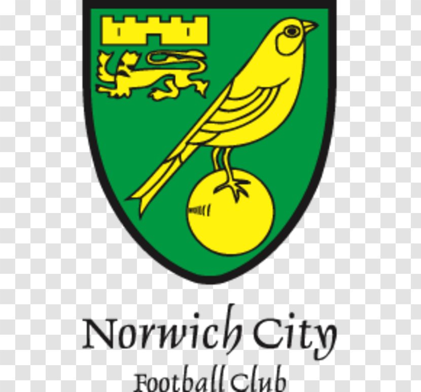 Norwich City F.C. Under-23s And Academy Carrow Road The Nest Southampton - Fruit - F.c. Transparent PNG