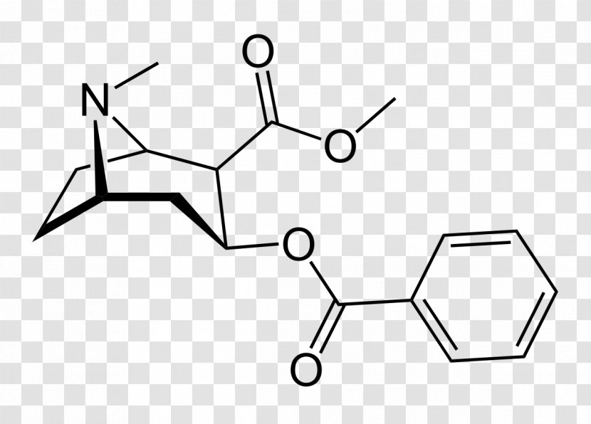 Cocaine Tropane Alkaloid Benzoylecgonine Cocaethylene - Silhouette - Cocain Transparent PNG