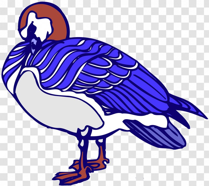 Beak Water Bird Cobalt Blue Vulture - Fauna Transparent PNG