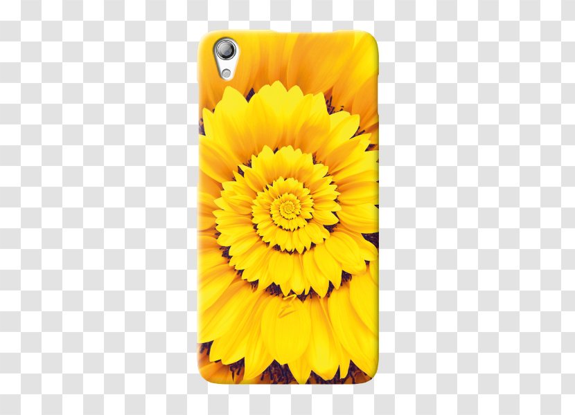 Transvaal Daisy Sunflower M Mobile Phone Accessories Marigolds Phones - Transparent Cover Transparent PNG