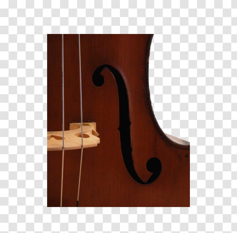 Bass Violin Double Violone Viola Octobass - Tree - Guitar Transparent PNG