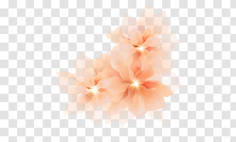 Hibiscus Desktop Wallpaper Computer Pink M - Petal Transparent PNG