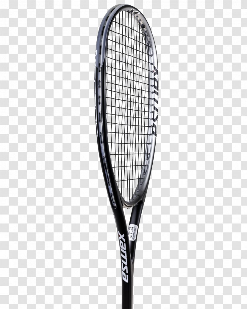 Strings Racket Squash Rakieta Tenisowa Head - Sports Equipment - Virtuoso Transparent PNG
