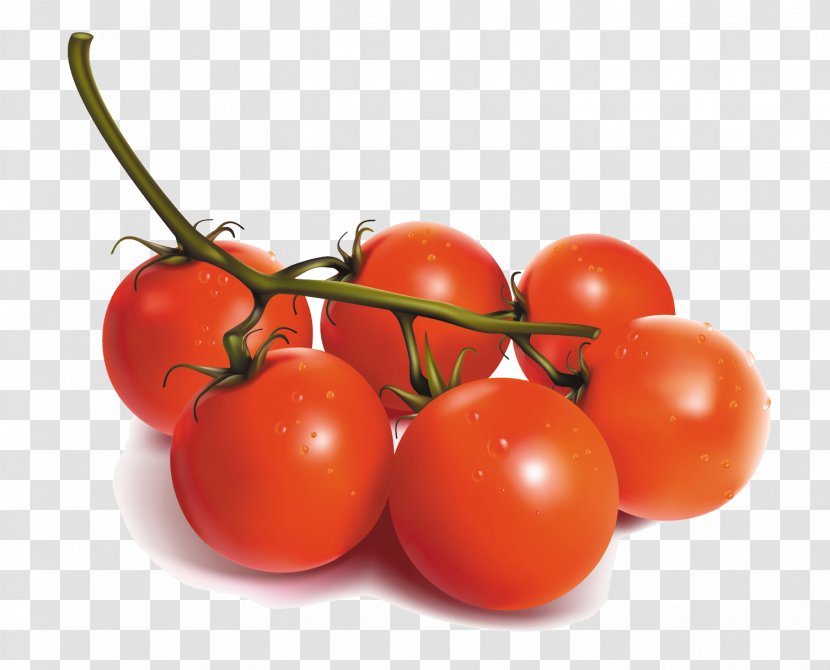 Cherry Tomato Vegetable - Natural Foods - Vector Hand-painted Tomatoes Transparent PNG