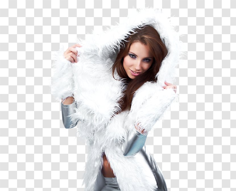 Desktop Wallpaper Metaphor Fur Clothing - Silhouette - Winter-girl Transparent PNG