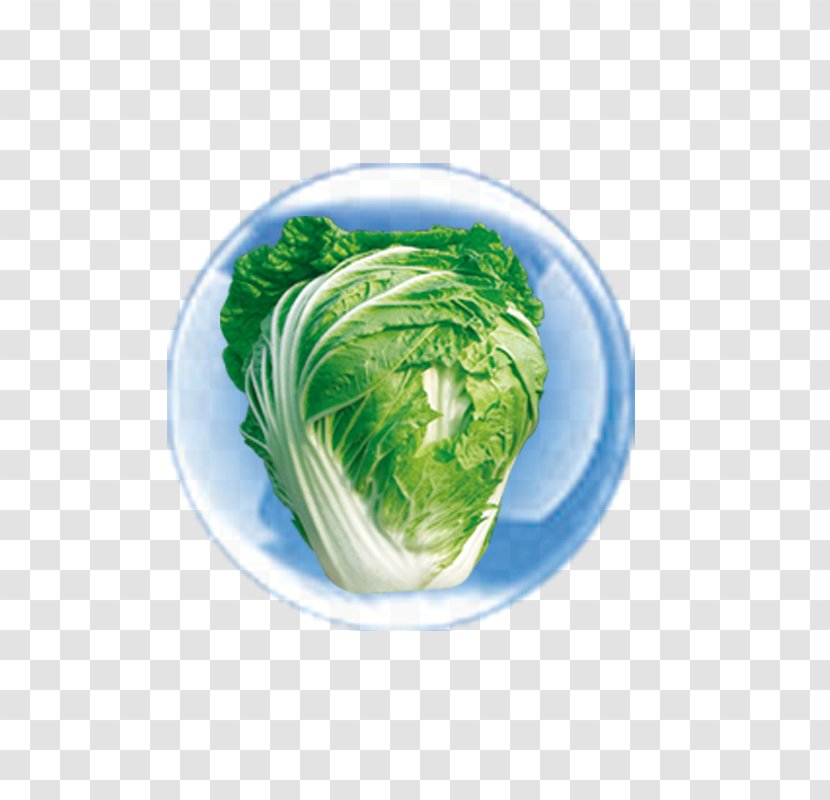 Leaf Vegetable Vegetarian Cuisine Dish Food Vegetarianism - Cabbage Transparent PNG