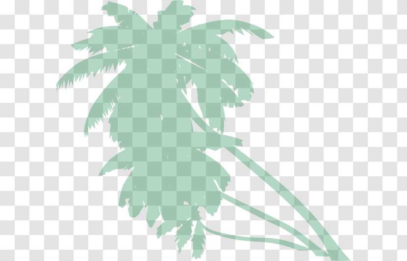 Arecaceae Tree Clip Art - Fir - Rainforest Vector Transparent PNG