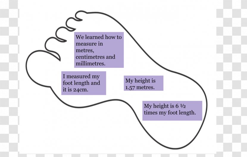 Brand Line Angle Diagram - Purple - Height Measurement Transparent PNG