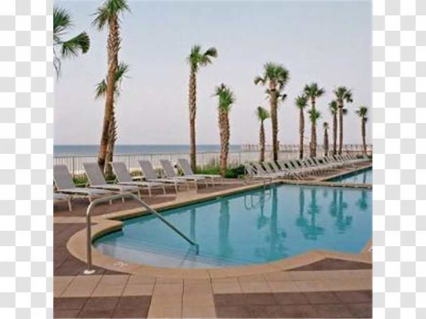 Sterling Reef Beach Resort Condominiums Panama City Swimming Pool Transparent PNG