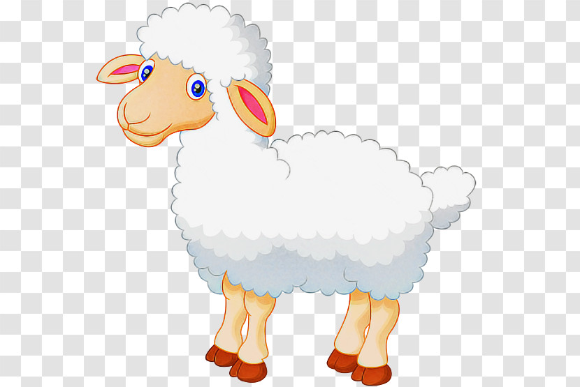 Sheep Sheep Animal Figure Cartoon Livestock Transparent PNG