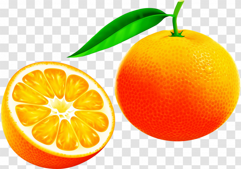 Orange Transparent PNG