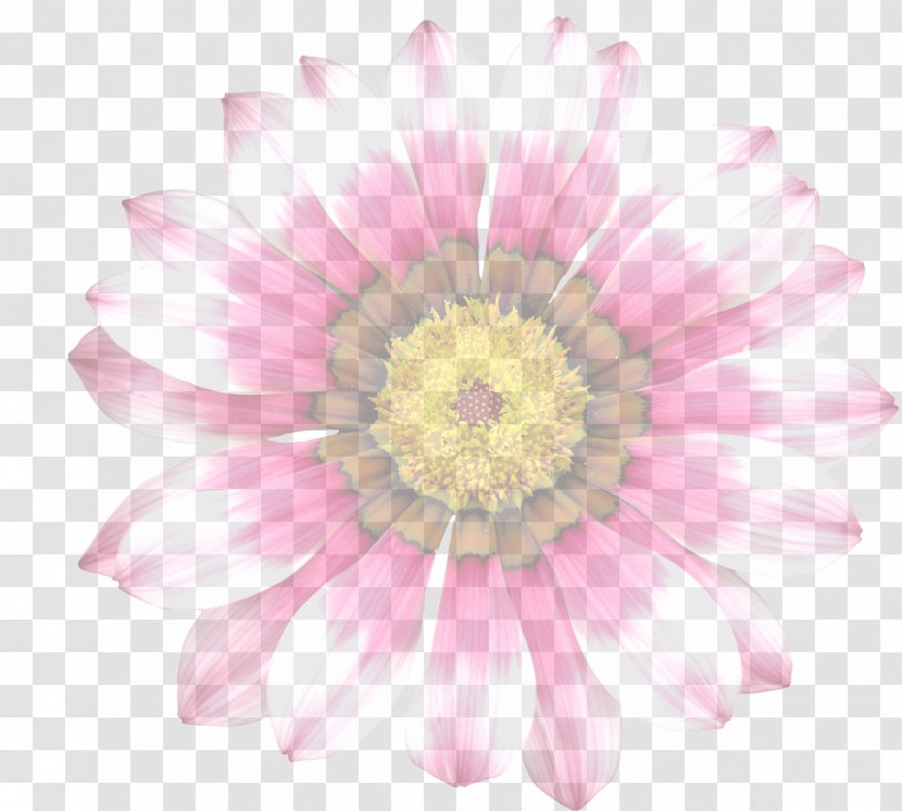 Flower Clip Art - Chrysanthemum Transparent PNG
