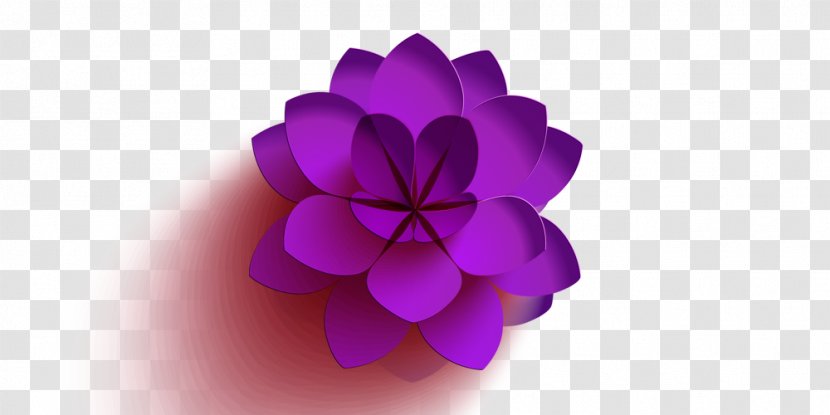 Banner - Poster - Lotus Transparent PNG