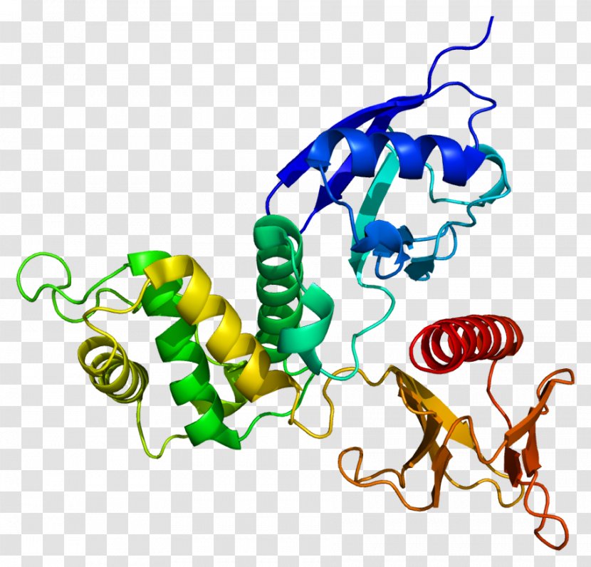 Protein Tertiary Structure Radixin PRKCD Kinase C - Gene - Pymol Transparent PNG