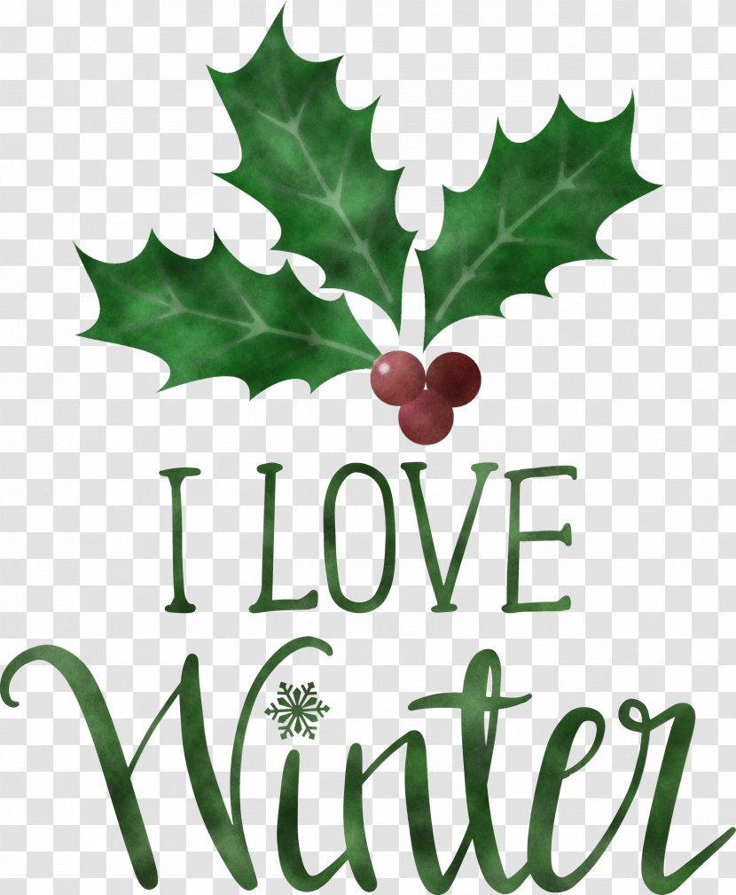 I Love Winter Winter Transparent PNG