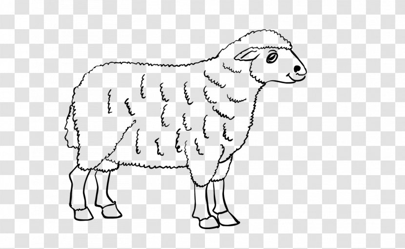 Sheep Cattle Goat Line Art Drawing - Wildlife Transparent PNG