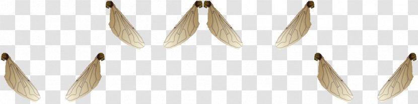 Bee My Honey Earring - Jewellery - Flying Transparent PNG