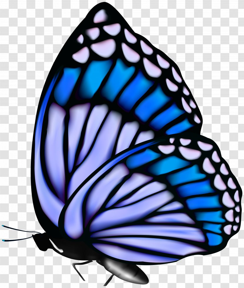 Monarch Butterfly Clip Art - Invertebrate - Image Transparent PNG