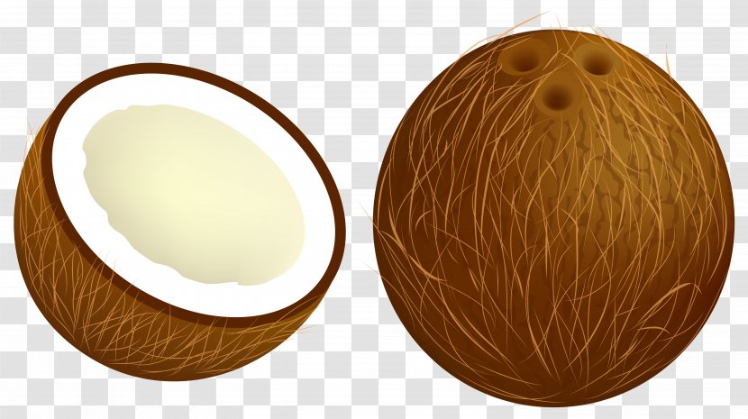 Coconut Vector Clipart Image - Cashew - Egg Transparent PNG