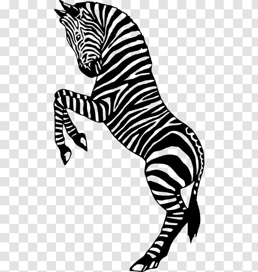 Zebra Silhouette Circus Clip Art - Big Cats - Cliparts Transparent PNG