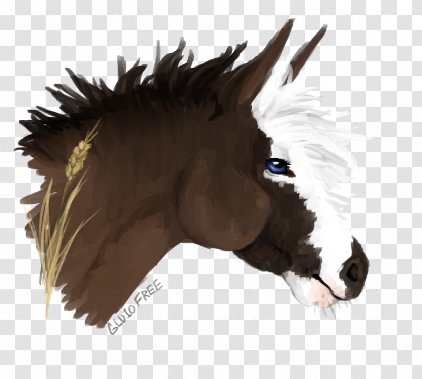 Mustang Stallion Halter Rein Pack Animal - Pony Transparent PNG