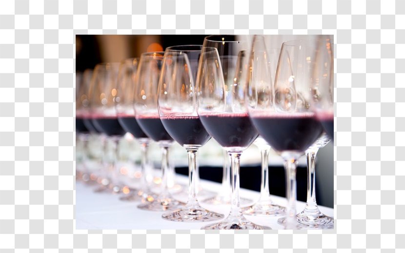 Wine Tasting Barolo DOCG Sparkling Sommelier - Winery Transparent PNG